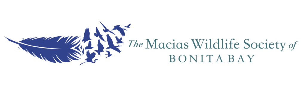 The Macias Wildlife Society of Bonita Bay, Inc. | Image shows feather with birds flying.